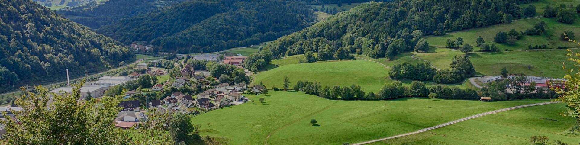 Felspartien der kleinen und großen Utzenfluh aus Präkulmgestein, Porphyren, Grauwacken und Biotitgraniten; interessante Flora und Fauna; bei Erweiterung 2011 wurden die umliegenden Weidfelder einbezogen.