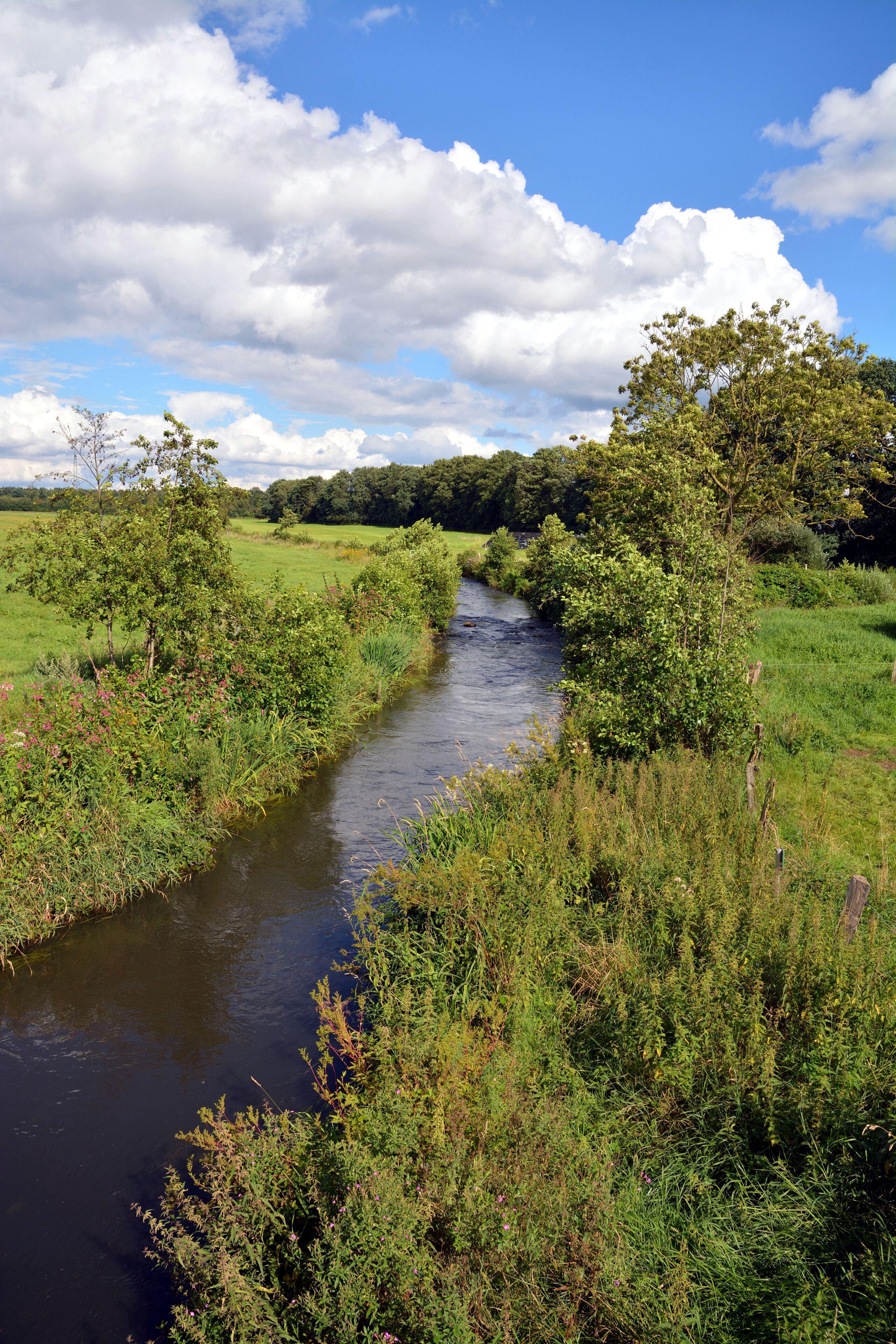 Impressionen der Störbrücke in Padenstedt