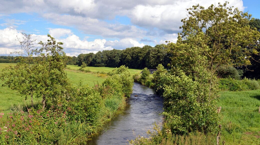 Impressionen der Störbrücke in Padenstedt