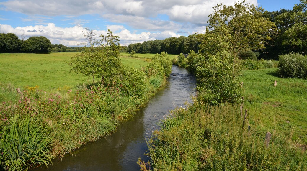 Impressionen der Störbrücke in Padenstedt