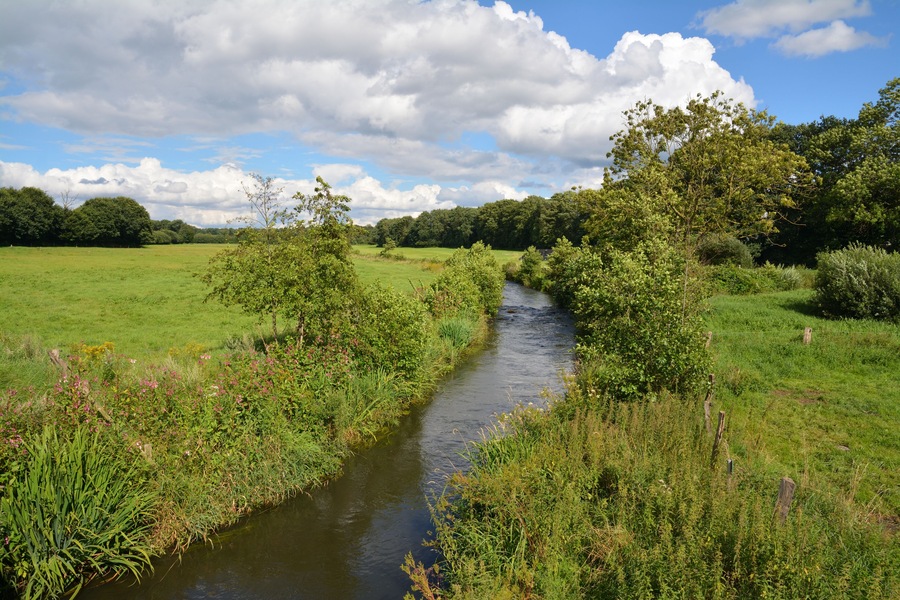 Un río serpenteante que atraviesa un campo verde exuberante, con árboles y arbustos a ambos lados.