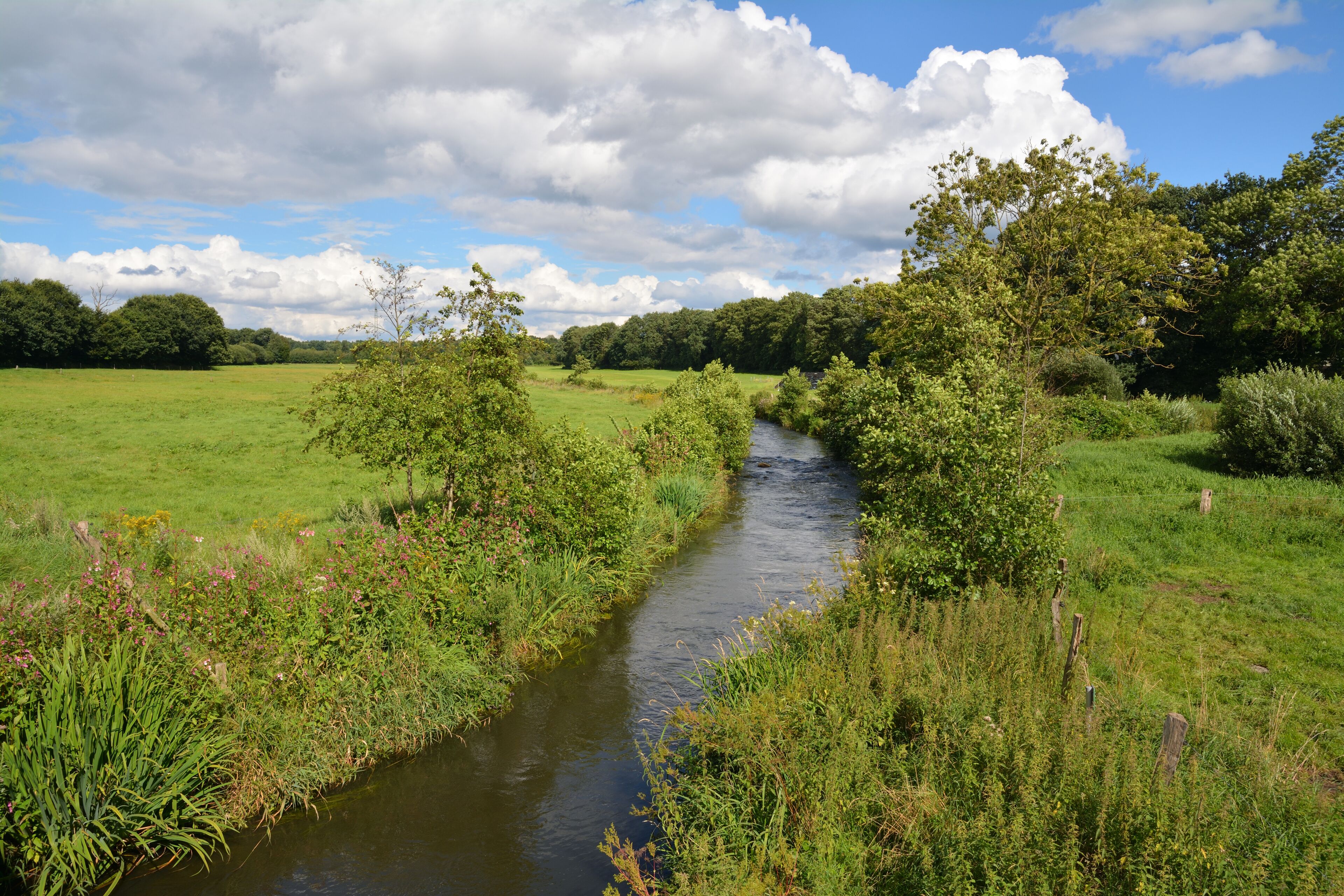 A narrow river winding through a lush green field with trees and bushes on either side.