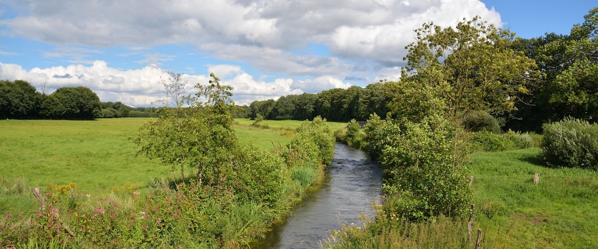 A narrow river winding through a lush green field with trees and bushes on either side.
