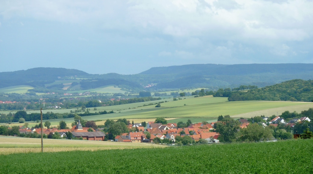 Blick vom Silberberg nach Ostsüdosten über Werxhausen ins Duderstädter Becken (im Hintergrund das Ohmgebirge mit dem Sonnenstein links, der Sonder Mitte, dem Schwarzenberg rechts)