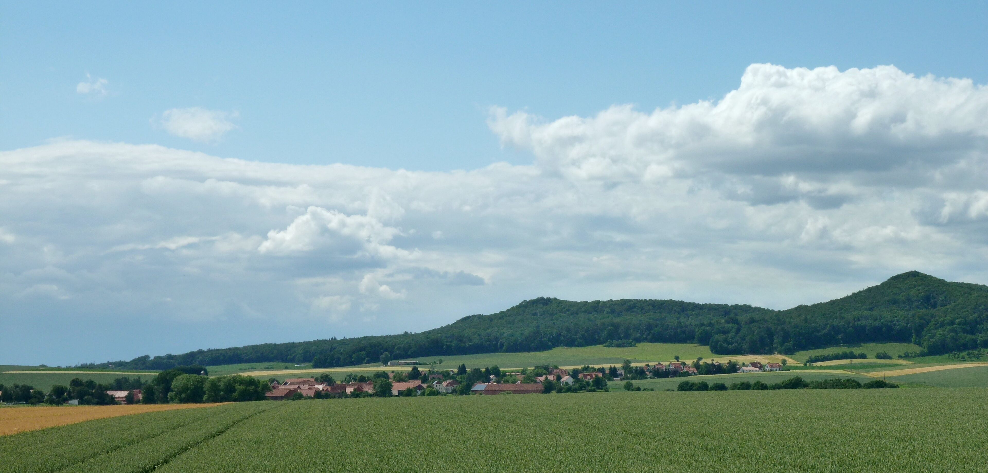 A rural landscape with green fields, a village, and a forested hill.