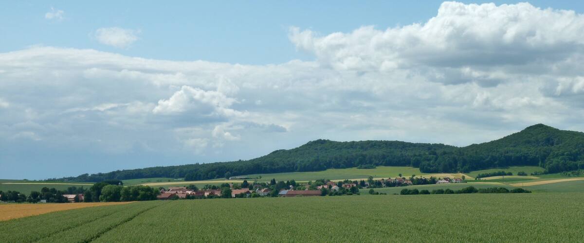 A rural landscape with green fields, a village, and a forested hill.