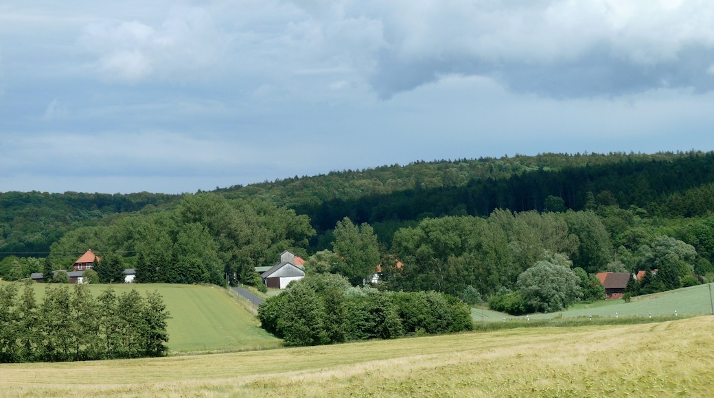 Blick vom Einenberg nach Osten über Himmigerode auf den Desingeröder Wald (Silberberg, Fuchsberg)