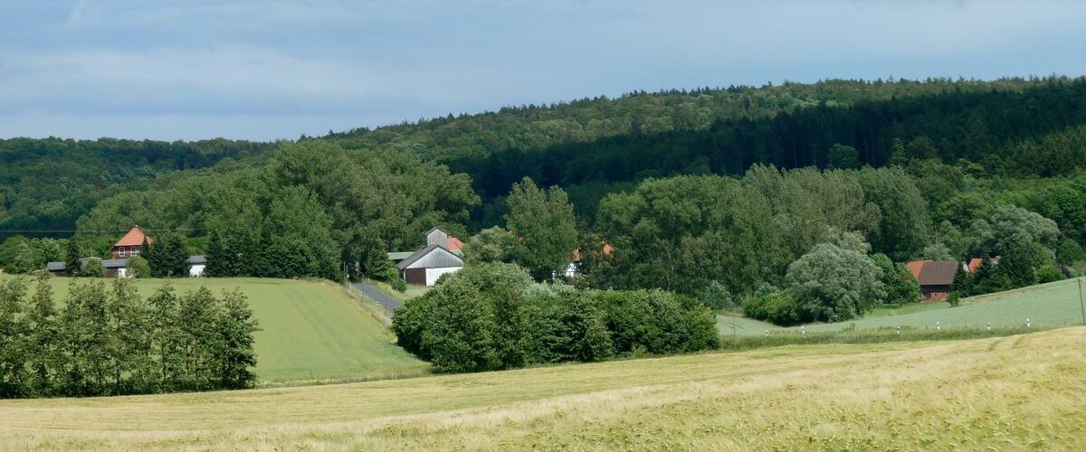 Blick vom Einenberg nach Osten über Himmigerode auf den Desingeröder Wald (Silberberg, Fuchsberg)