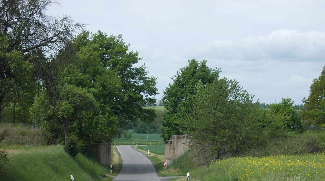 Former bridge of the Altenburg–Langenleuba-Oberhain railway line near Oberleupten (Nobitz, Altenburger Land district, Thuringia)