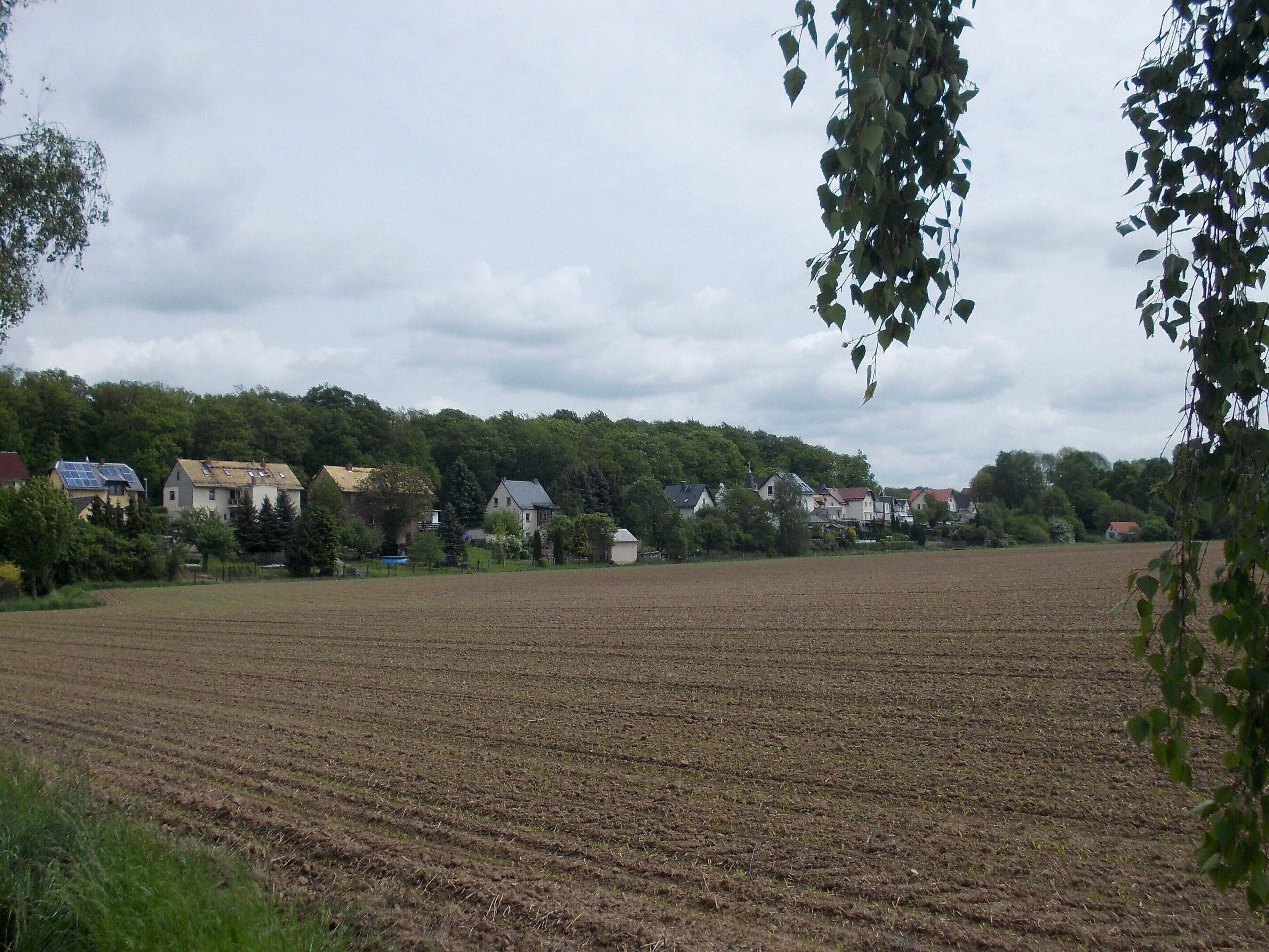 Klausa (Nobitz, Altenburger Land district, Thuringia) with Leina forest in the background