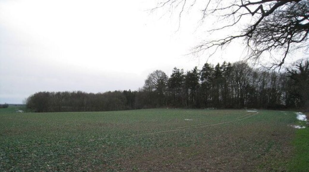 Ackerland bei Rankendorf