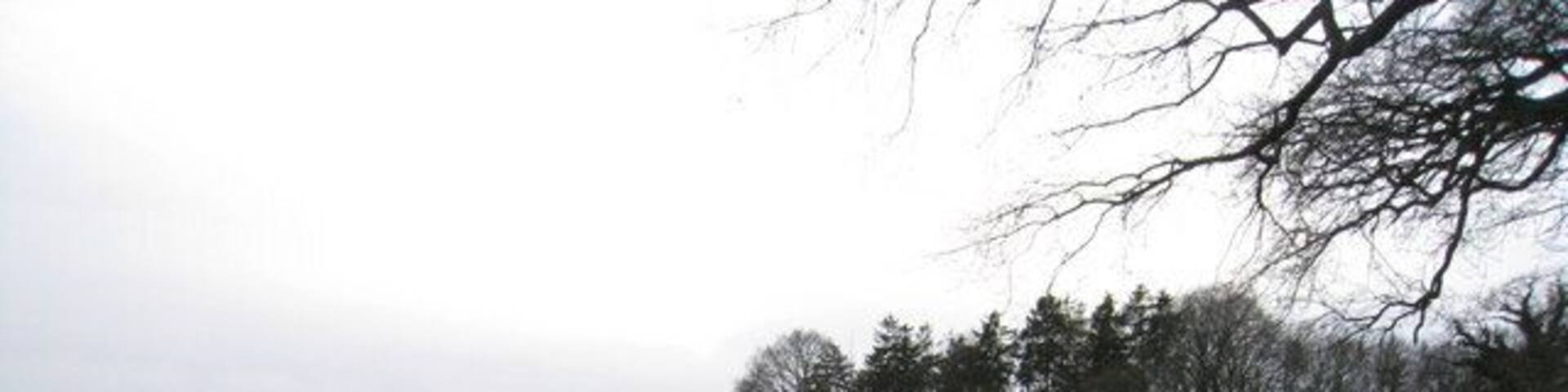 Ackerland bei Rankendorf