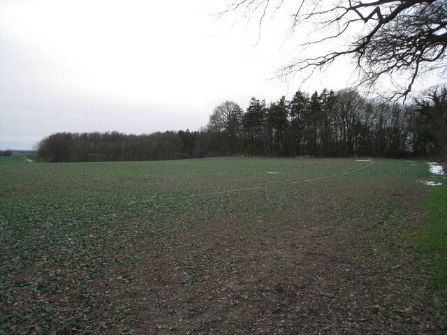 A vast open field with a line of trees in the background.