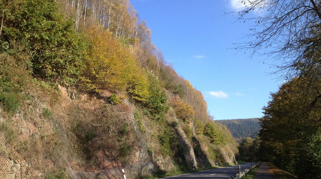 Der Hessische Radfernweg R1 (Fulda-Radweg) zwischen Hann. Münden und Reinhardshagen an der B 80