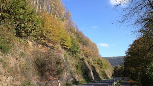 Der Hessische Radfernweg R1 (Fulda-Radweg) zwischen Hann. Mรผnden und Reinhardshagen an der B 80