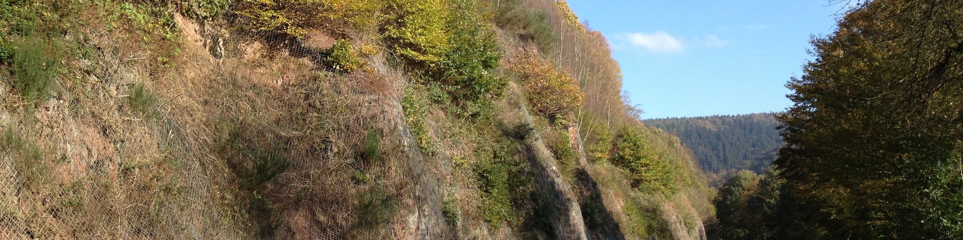 Der Hessische Radfernweg R1 (Fulda-Radweg) zwischen Hann. MĂŒnden und Reinhardshagen an der B 80