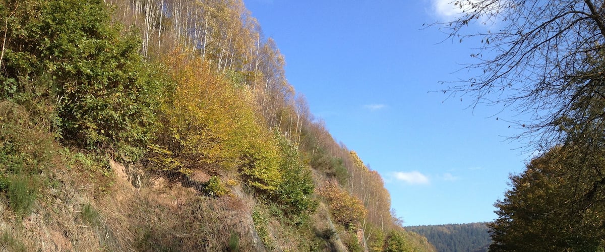 A two-lane road with a guardrail, surrounded by autumn foliage and hills.