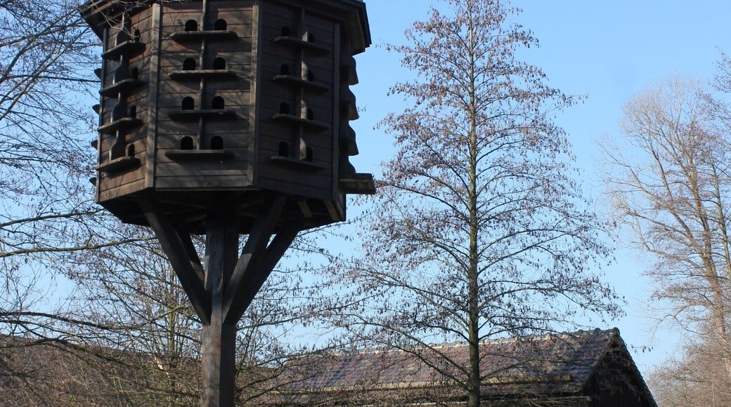 Njebjelčicy; hołbjenc a torožo.