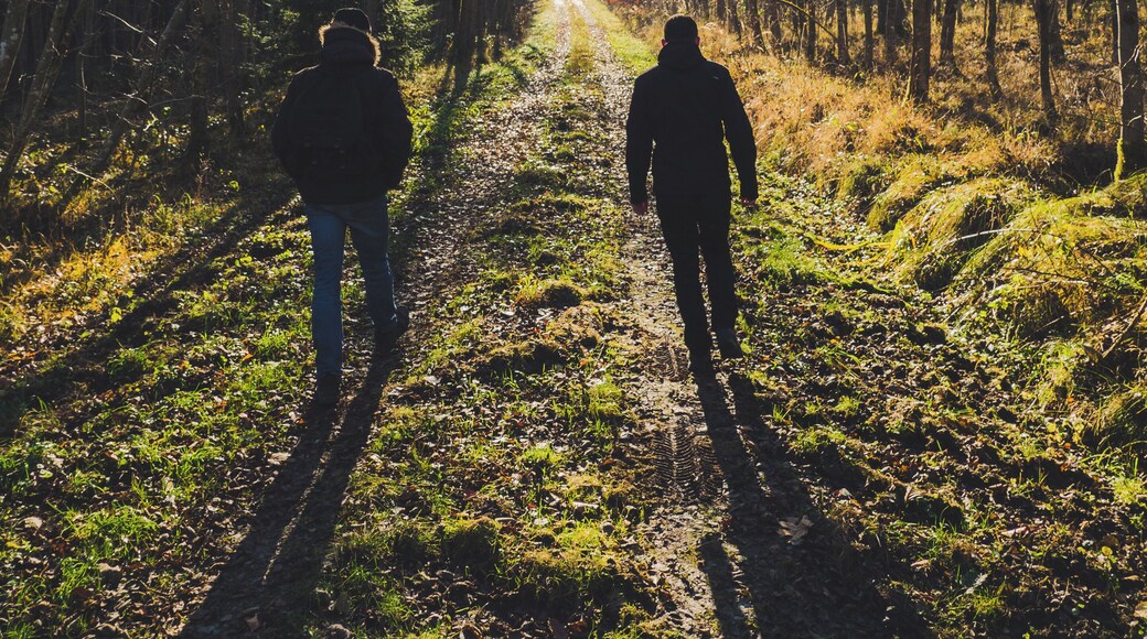 Schönbuch is a large nature sanctuary near Stuttgart, Germany.