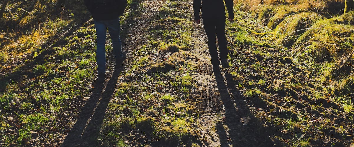 Schönbuch is a large nature sanctuary near Stuttgart, Germany.
