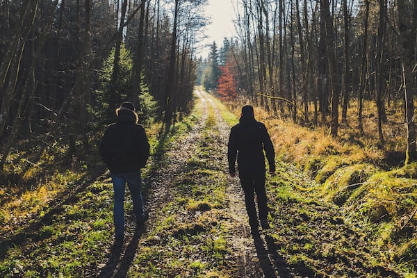 Schönbuch is a large nature sanctuary near Stuttgart, Germany.