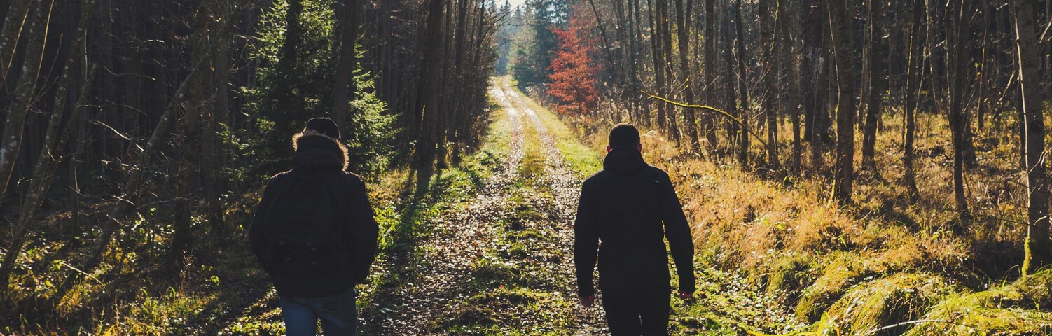 Schönbuch is a large nature sanctuary near Stuttgart, Germany.