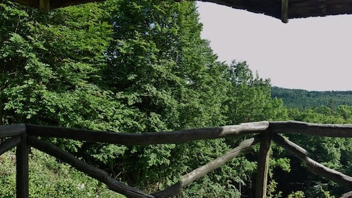 Blick von der Aussichtsplatform Falkenkopf nach SĂŒden.