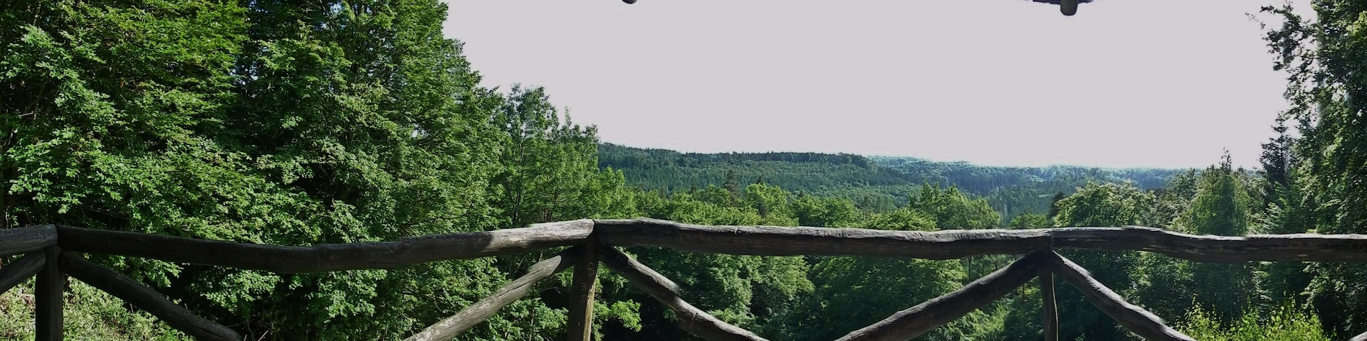 Blick von der Aussichtsplatform Falkenkopf nach Süden.