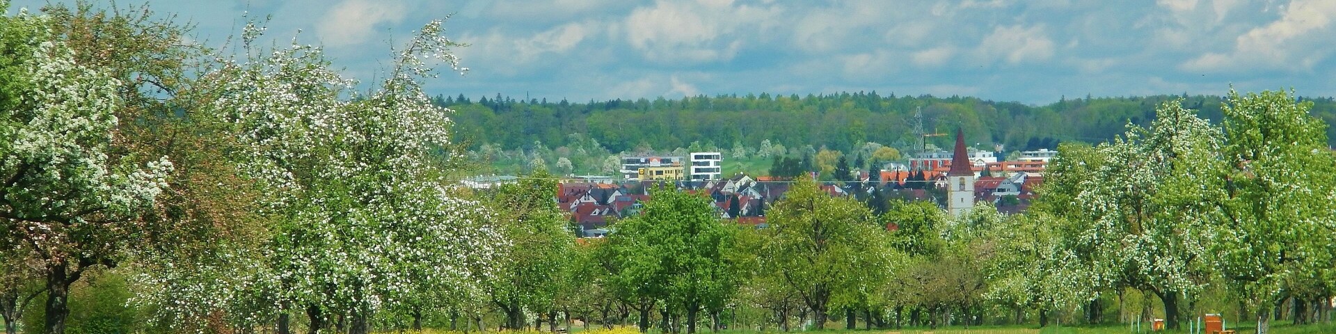 Blick nach Altdorf