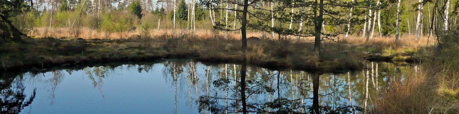 Birkensee im Naturpark Schönbuch