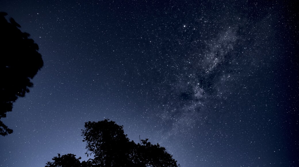 A night sky filled with stars, a silhouette of a tree, and the Milky Way galaxy.
