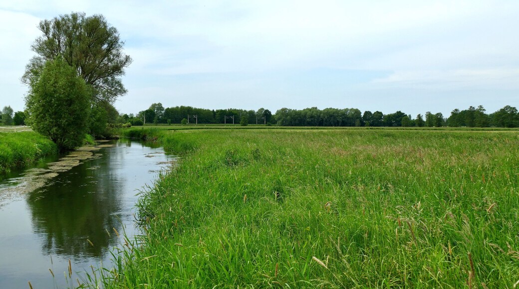 LSG-H 48 Fuhsetal: Fuhse vor der Wolfsforder Mühle, Blick gegen die Fließrichtung. Hier bildet die Fuhse die Grenze des LSG, die rechts im Bild zu sehenden Wiesen liegen im Landschaftsschutzgebiet.