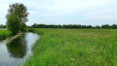 LSG-H 48 Fuhsetal: Fuhse vor der Wolfsforder Mühle, Blick gegen die Fließrichtung. Hier bildet die Fuhse die Grenze des LSG, die rechts im Bild zu sehenden Wiesen liegen im Landschaftsschutzgebiet.