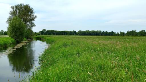 LSG-H 48 Fuhsetal: Fuhse vor der Wolfsforder Mühle, Blick gegen die Fließrichtung. Hier bildet die Fuhse die Grenze des LSG, die rechts im Bild zu sehenden Wiesen liegen im Landschaftsschutzgebiet.