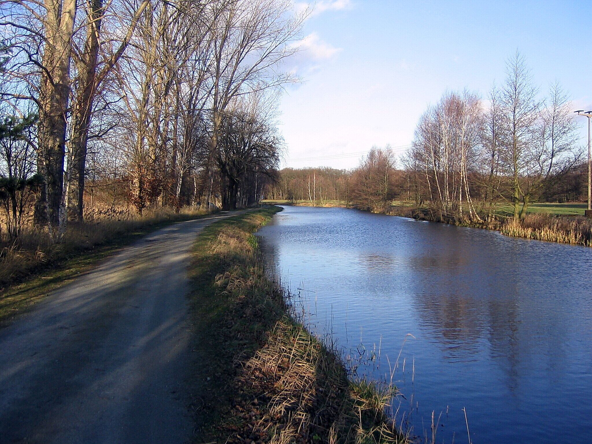 A narrow waterway flanked by leafless trees and a road.