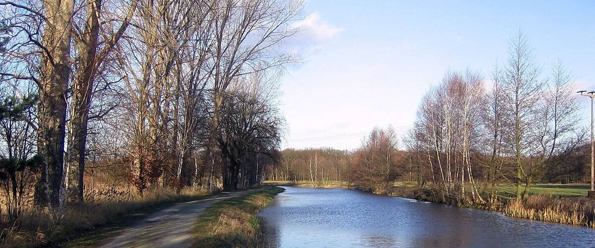 A narrow waterway flanked by leafless trees and a road.