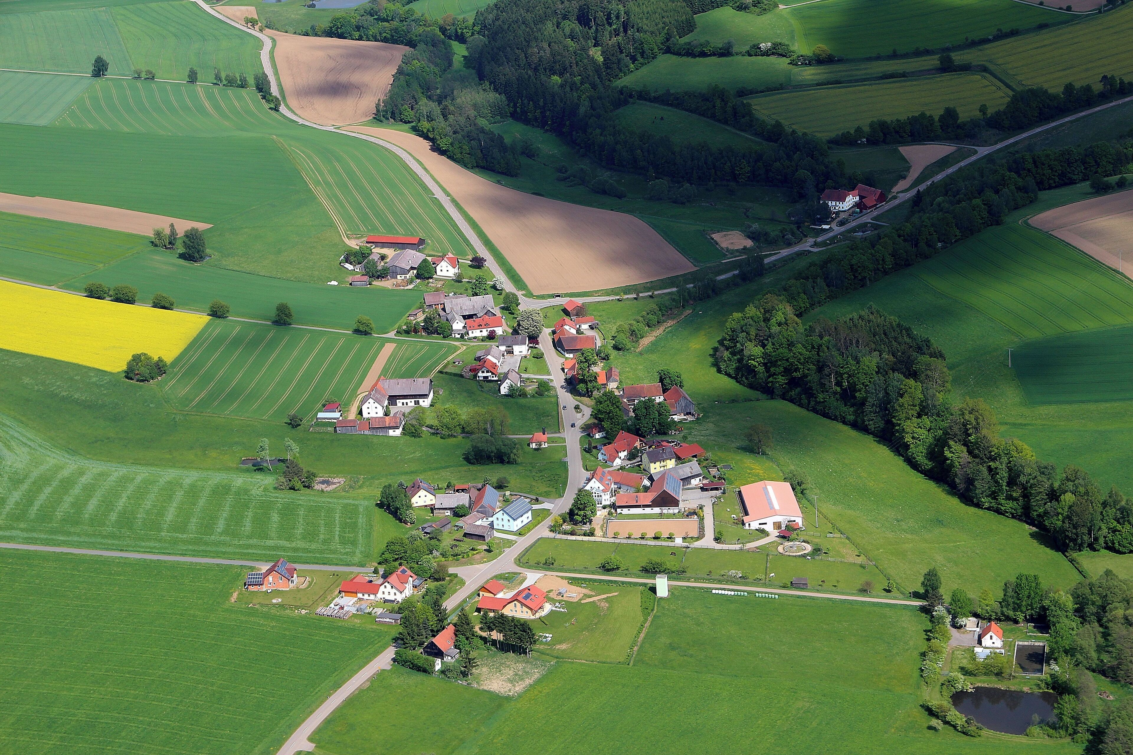 An aerial view of a rural village with green fields, scattered houses, and a small pond.