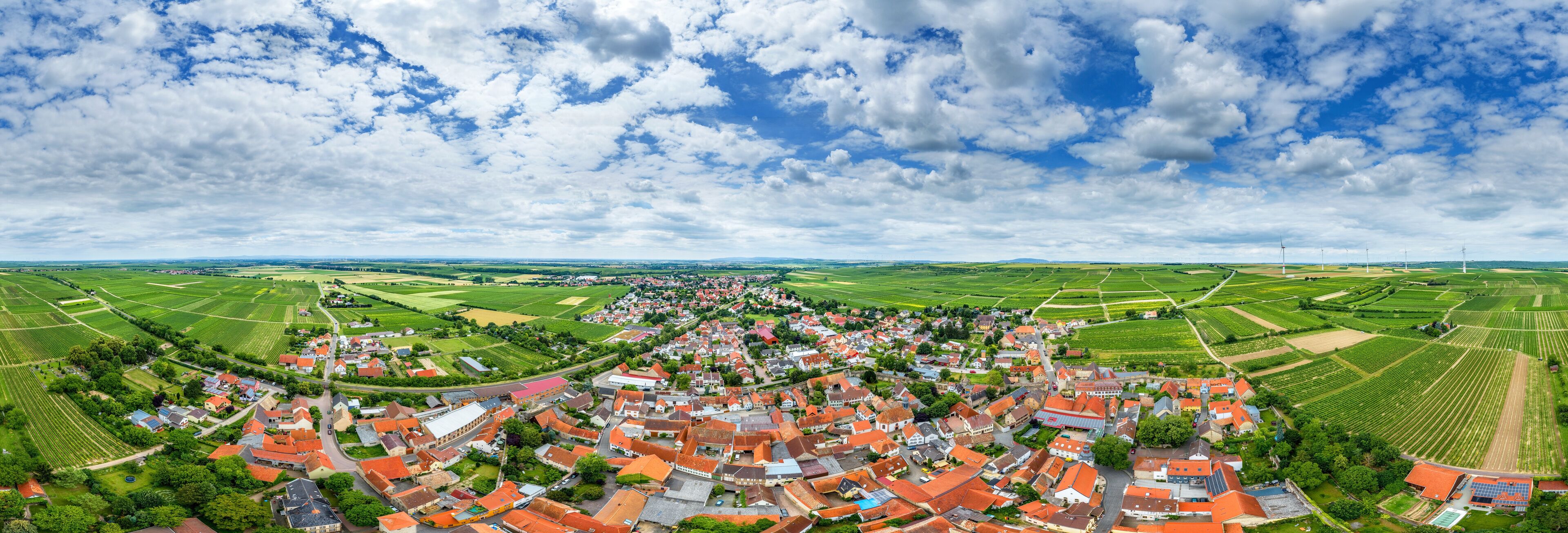 Luftbild Dalsheim im Wonnegau