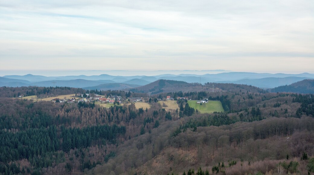 Blick auf den Hermersbergerhof vom Luitpoldturm aus, im Hintergrund das Rheintal im Nebel sowie die Hornisgrinde im Schwarzwald