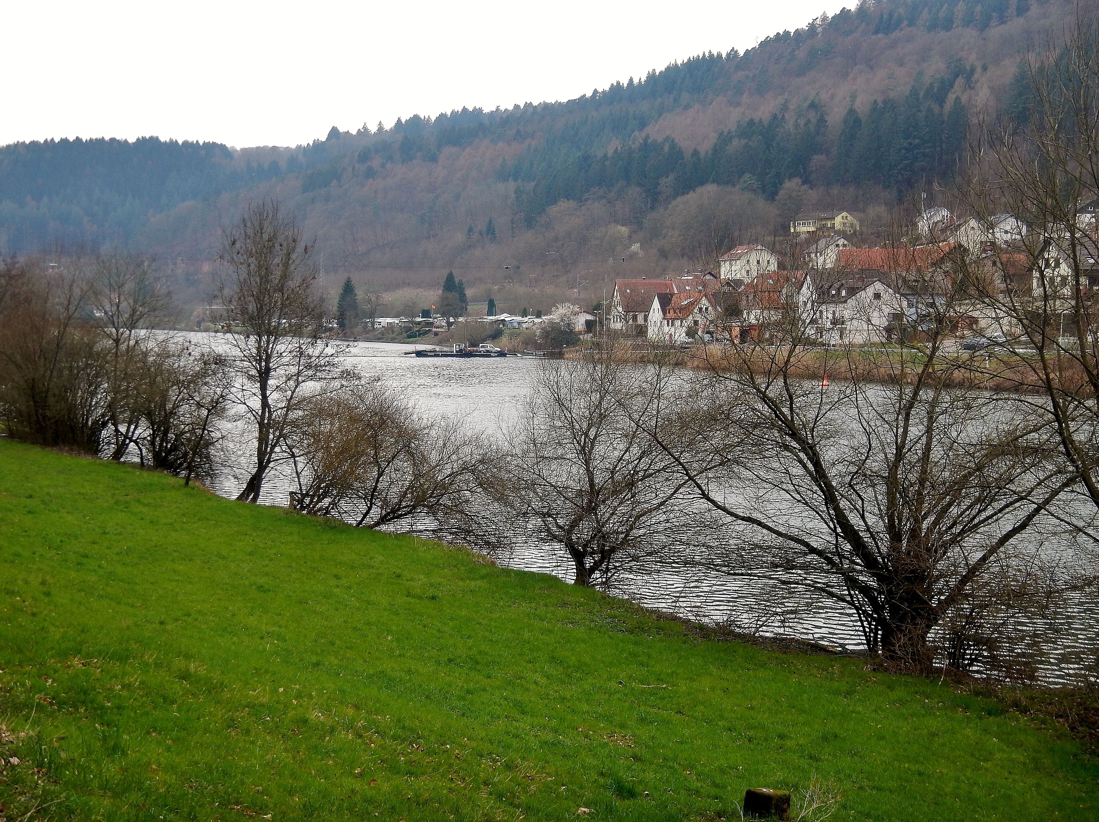 Ausblick vom 366 km langen Neckartalradweg: Gierfähre "Hbg 034" bei Neckarhausen