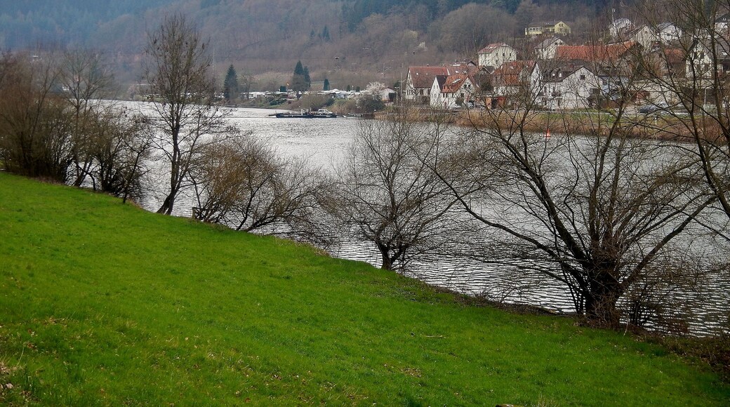 Ausblick vom 366 km langen Neckartalradweg: Gierfรคhre "Hbg 034" bei Neckarhausen