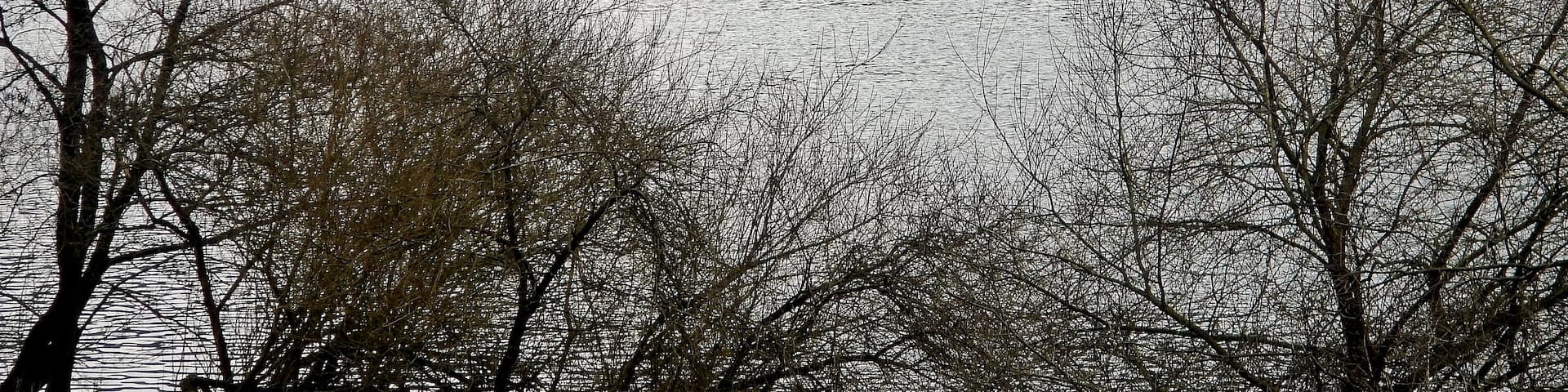 Ausblick vom 366 km langen Neckartalradweg: GierfÀhre "Hbg 034" bei Neckarhausen