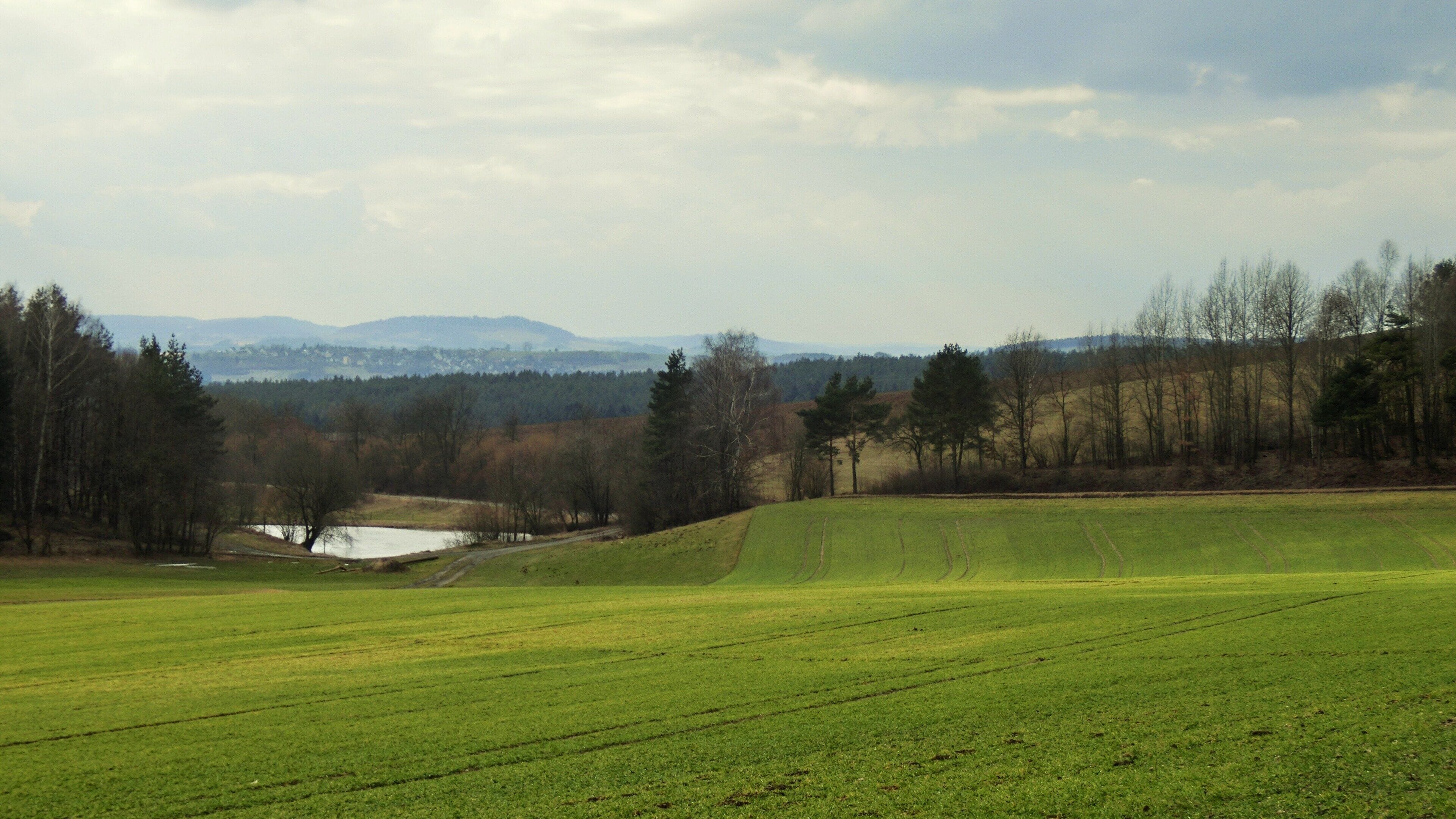 A green field with a small pond and trees in the background.