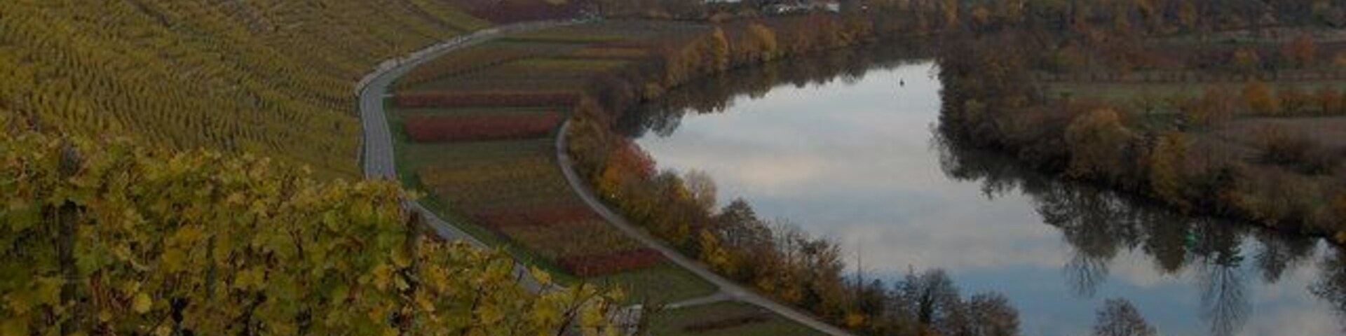 Viñedo con un río y un pueblo pequeño al fondo.