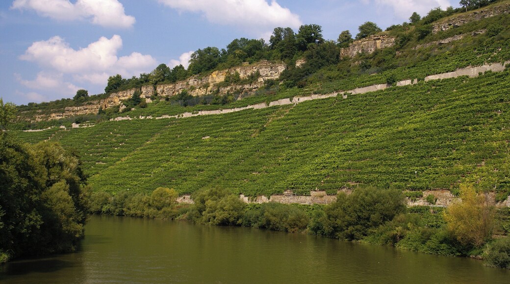 Felsengärten 08/2013