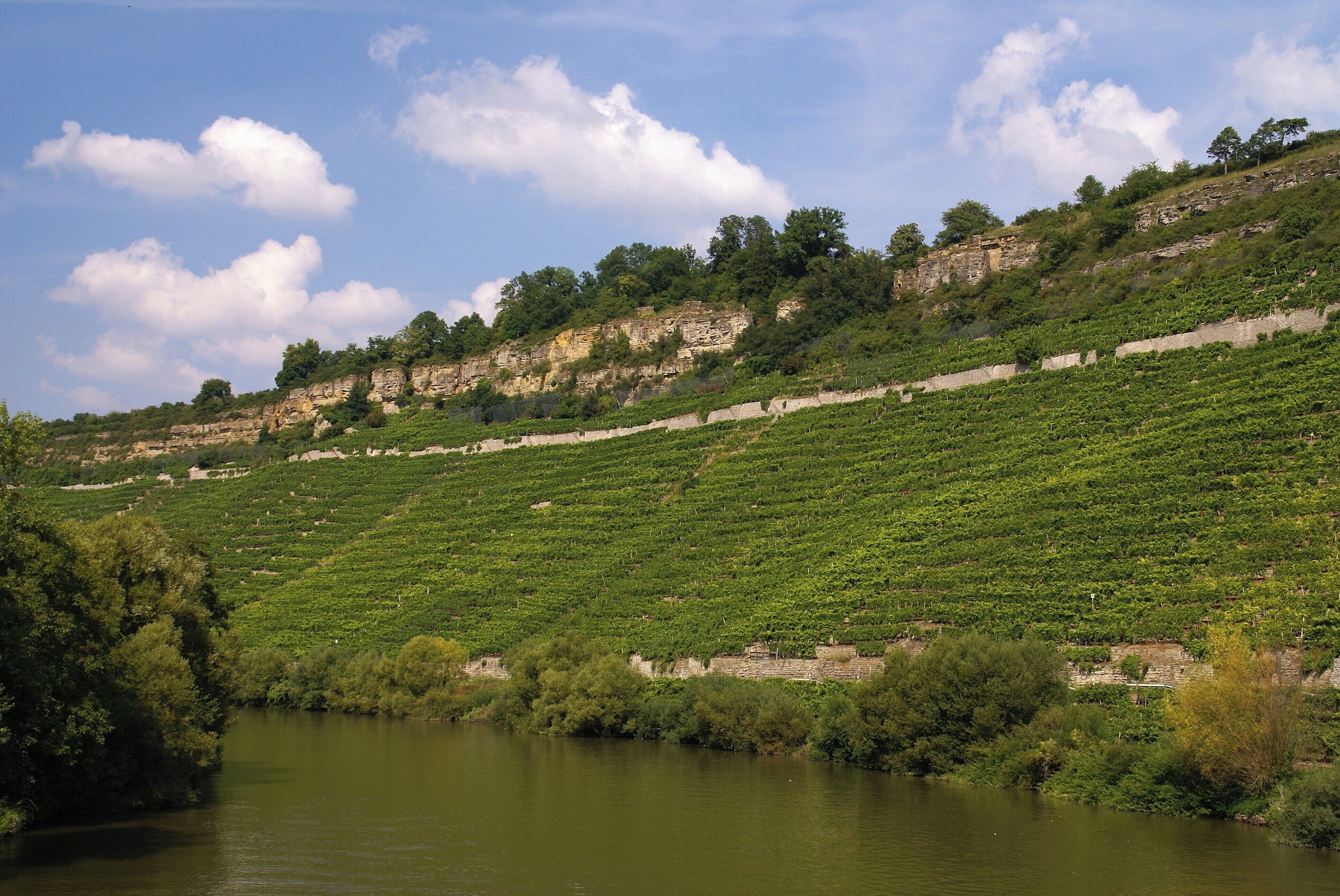 A river with terraced vineyards on a hillside.