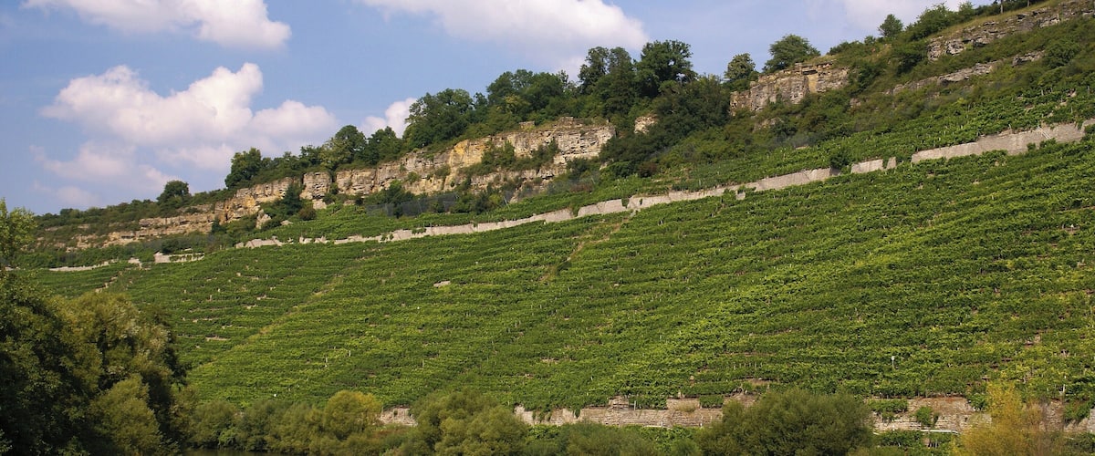 A river with terraced vineyards on a hillside.