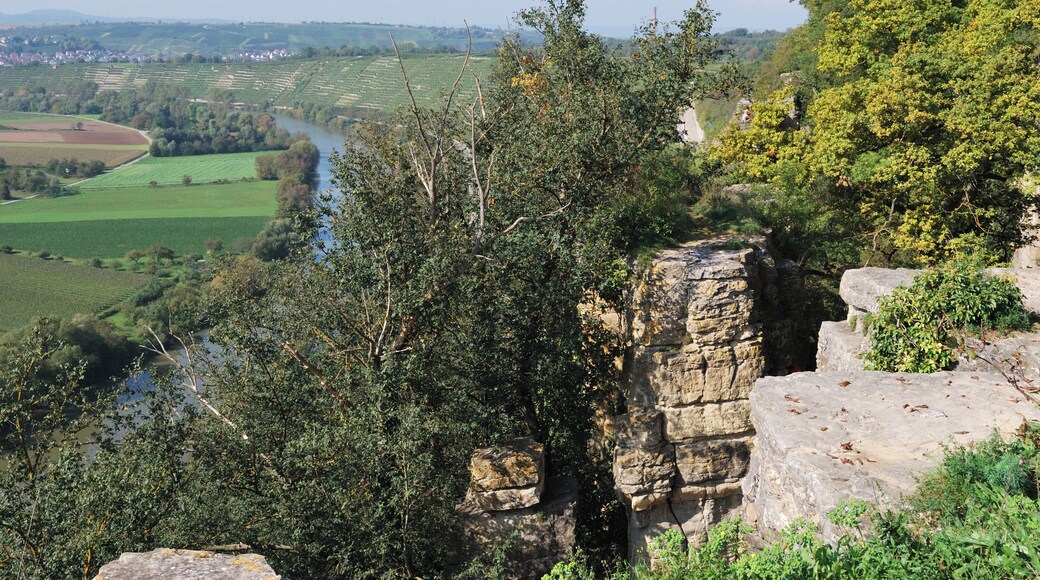 Nature reserve area Hessigheimer Felsengärten and a view over the Neckar valley, German Federal State Baden-Württemberg.