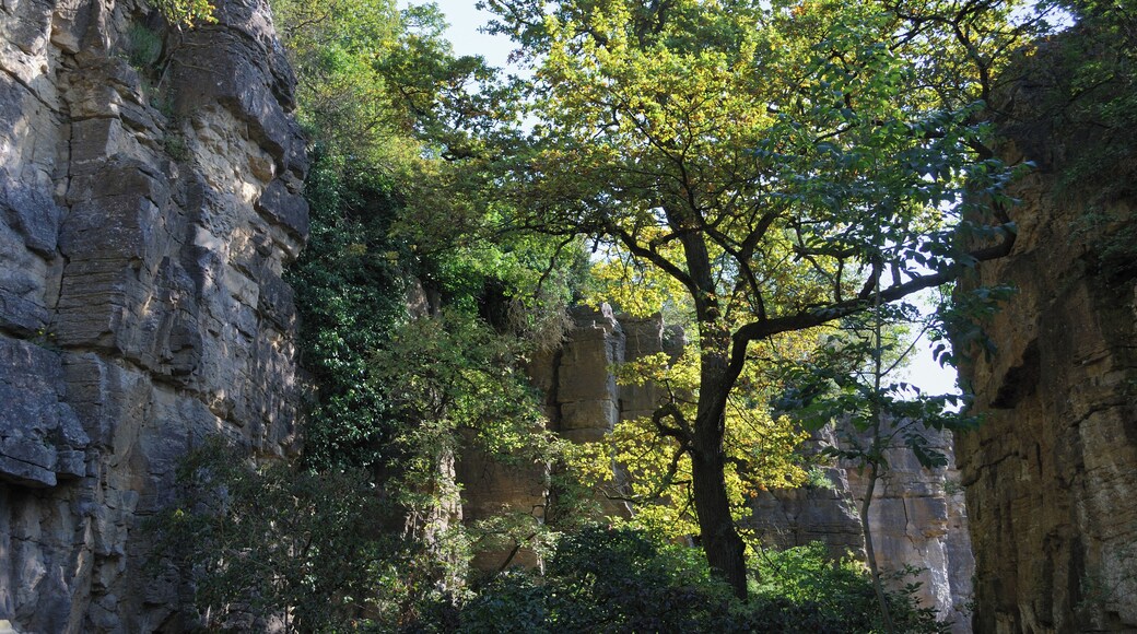 In the nature reserve area Hessigheimer Felsengärten, German Federal State Baden-Württemberg.