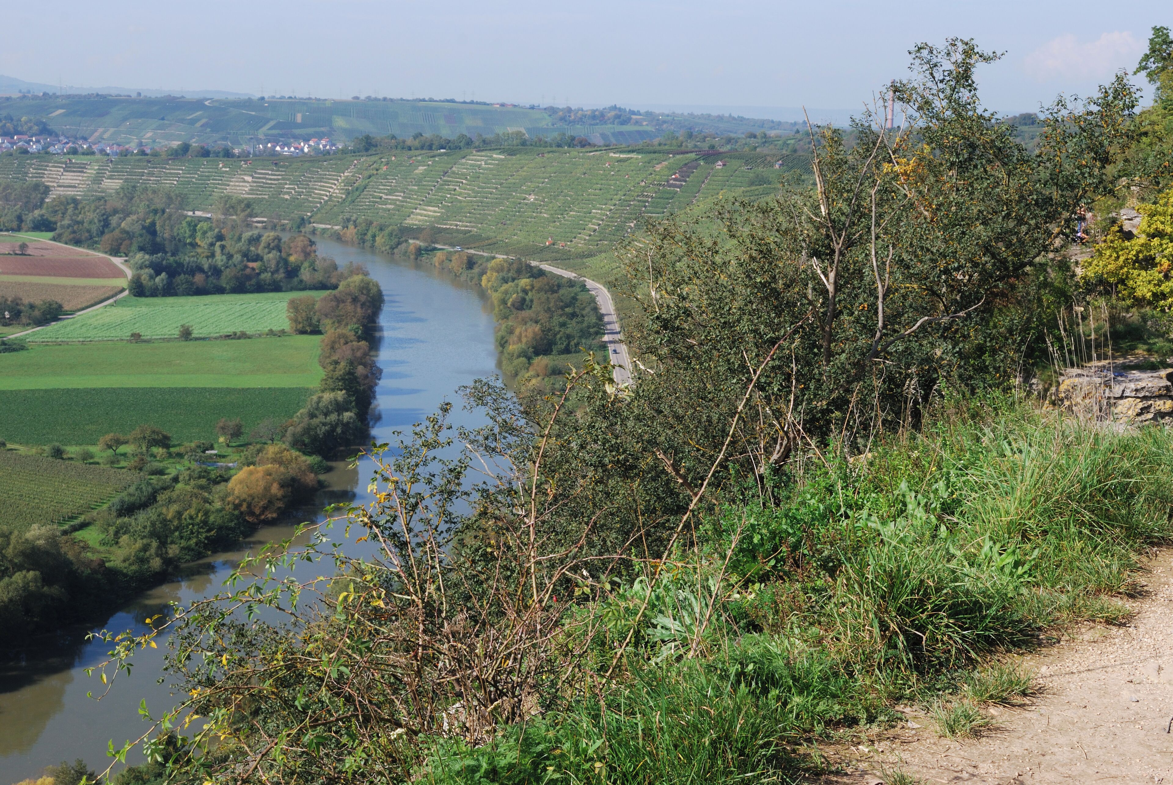 Nature reserve area Hessigheimer Felsengärten and a view over the Neckar valley, German Federal State Baden-Württemberg.